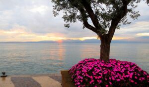 lazise garda